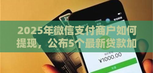 2025年微信支付商户如何提现，公布5个最新贷款加盟平台
