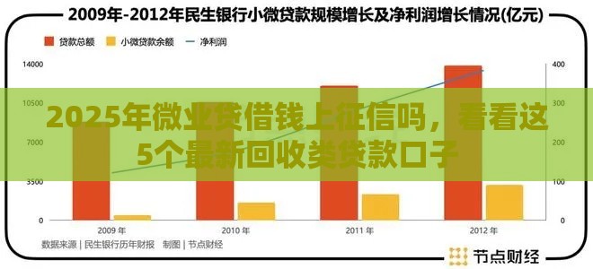 2025年微业贷借钱上征信吗，看看这5个最新回收类贷款口子
