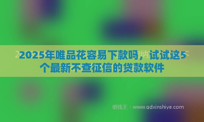 2025年唯品花容易下款吗，试试这5个最新不查征信的贷款软件
