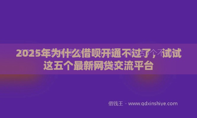 2025年为什么借呗开通不过了，试试这五个最新网贷交流平台