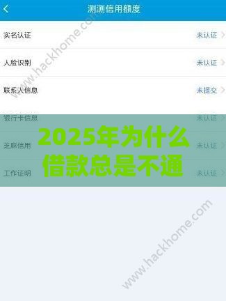 2025年为什么借款总是不通过，试试这五个最新平台借钱靠谱