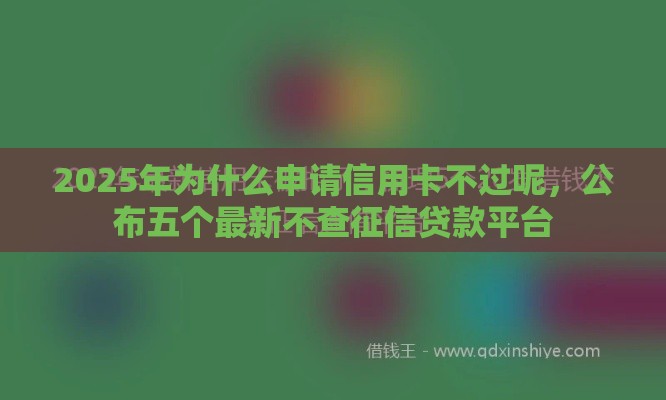 2025年为什么申请信用卡不过呢，公布五个最新不查征信贷款平台