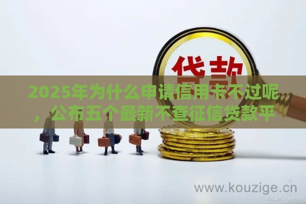 2025年为什么申请信用卡不过呢，公布五个最新不查征信贷款平台