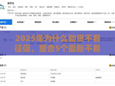 2025年为什么助贷不看征信，整合5个最新不看征信秒下款的平台