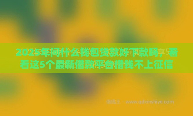 2025年问什么钱包贷款好下款吗，看看这5个最新借款平台借钱不上征信
