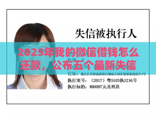 2025年我的微信借钱怎么还款，公布五个最新失信被执行人能贷款的口子