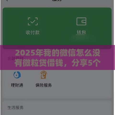 2025年我的微信怎么没有微粒贷借钱，分享5个最新一定能下款的借钱平台