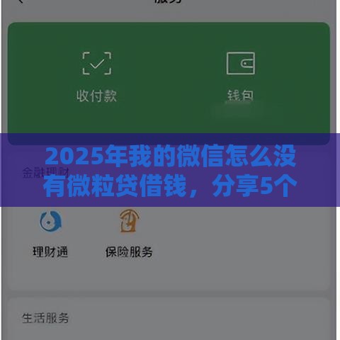 2025年我的微信怎么没有微粒贷借钱，分享5个最新一定能下款的借钱平台