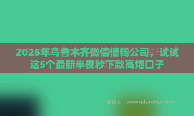 2025年乌鲁木齐微信借钱公司，试试这5个最新半夜秒下款高炮口子