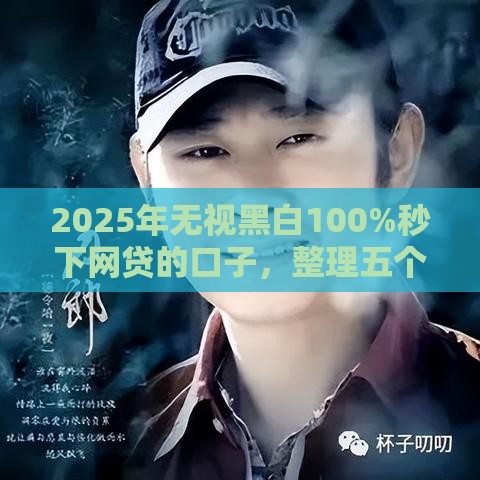 2025年无视黑白100%秒下网贷的口子，整理五个最新网贷可靠的平台