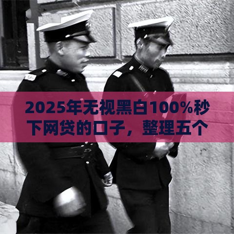 2025年无视黑白100%秒下网贷的口子，整理五个最新网贷可靠的平台