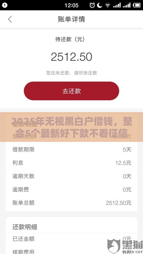 2025年无视黑白户借钱，整合5个最新好下款不看征信的网贷平台