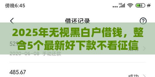 2025年无视黑白户借钱，整合5个最新好下款不看征信的网贷平台