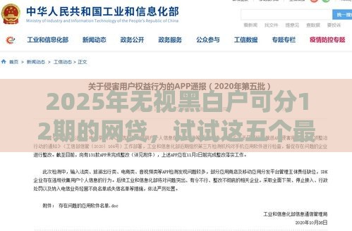 2025年无视黑白户可分12期的网贷，试试这五个最新有什么借钱平台