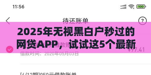 2025年无视黑白户秒过的网贷APP，试试这5个最新高利贷贷款平台