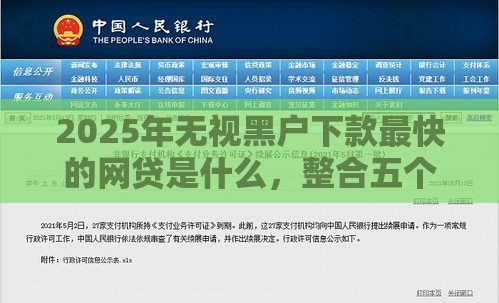 2025年无视黑户下款最快的网贷是什么，整合五个最新比较容易过的贷款平台