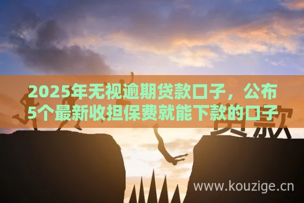 2025年无视逾期贷款口子，公布5个最新收担保费就能下款的口子