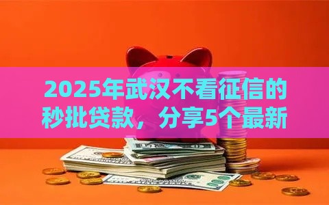 2025年武汉不看征信的秒批贷款，分享5个最新黑户能贷的网贷平台