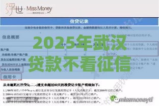 2025年武汉贷款不看征信吗，看看这5个最新最好下款不开会员的黑户借钱平台