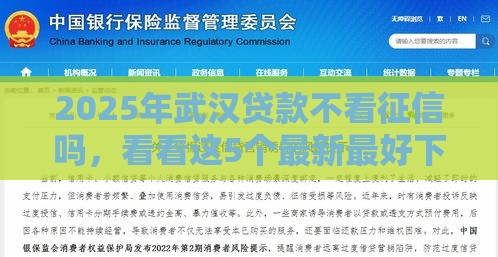 2025年武汉贷款不看征信吗，看看这5个最新最好下款不开会员的黑户借钱平台