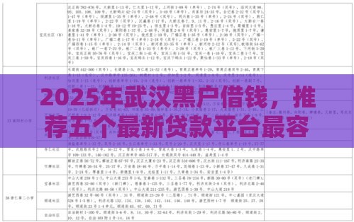 2025年武汉黑户借钱，推荐五个最新贷款平台最容易贷到款