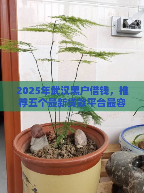 2025年武汉黑户借钱，推荐五个最新贷款平台最容易贷到款