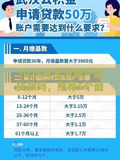 2025年武汉黑户能贷款吗，推荐5个最新贷款平台