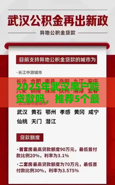 2025年武汉黑户能贷款吗，推荐5个最新贷款平台