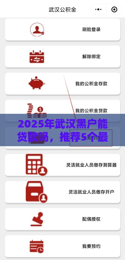 2025年武汉黑户能贷款吗，推荐5个最新贷款平台