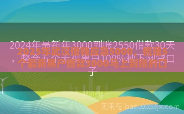 2025年武汉借钱应急5000，梳理5个最新黑户借款3000马上到账的口子