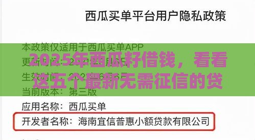 2025年西瓜籽借钱，看看这五个最新无需征信的贷款平台