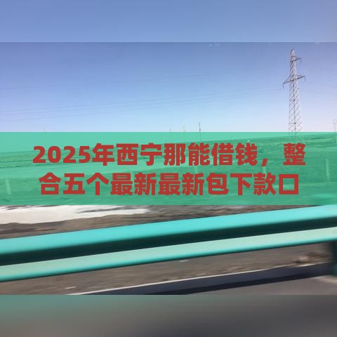2025年西宁那能借钱，整合五个最新最新包下款口子
