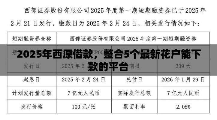 2025年西原借款，整合5个最新花户能下款的平台