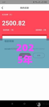 2025年喜花花容易下款吗，试试这五个最新无条件下款的平台