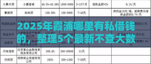2025年霞浦哪里有私借钱的，整理5个最新不查大数据和征信的贷款平台