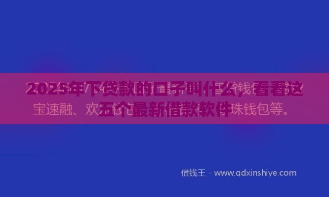 2025年下贷款的口子叫什么，看看这五个最新借款软件