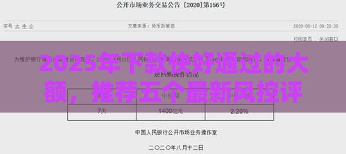 2025年下款快好通过的大额，推荐五个最新风控评分不足能下款的平台