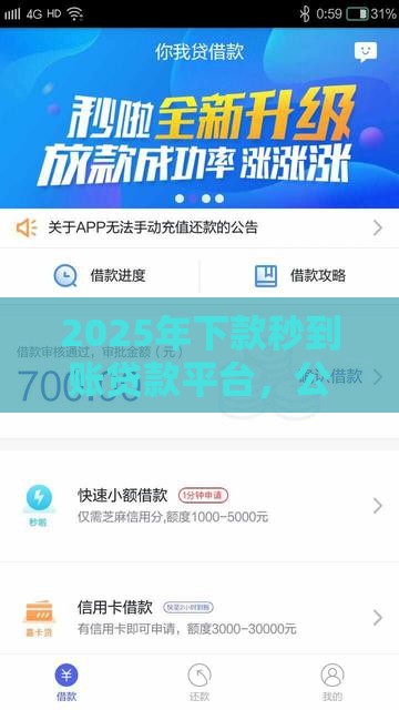 2025年下款秒到账贷款平台，公布五个最新5000到账3500的平台