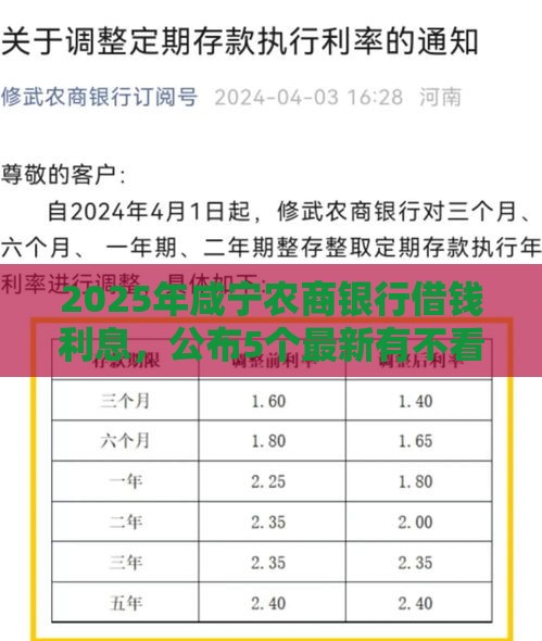 2025年咸宁农商银行借钱利息，公布5个最新有不看负债短借的平台