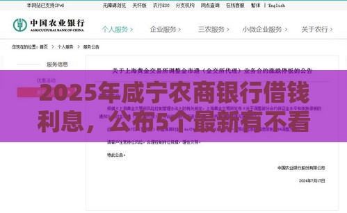2025年咸宁农商银行借钱利息，公布5个最新有不看负债短借的平台