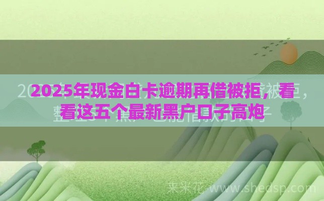 2025年现金白卡逾期再借被拒，看看这五个最新黑户口子高炮