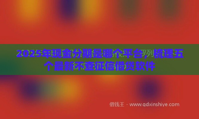 2025年现金分期是哪个平台，梳理五个最新不查征信借贷软件