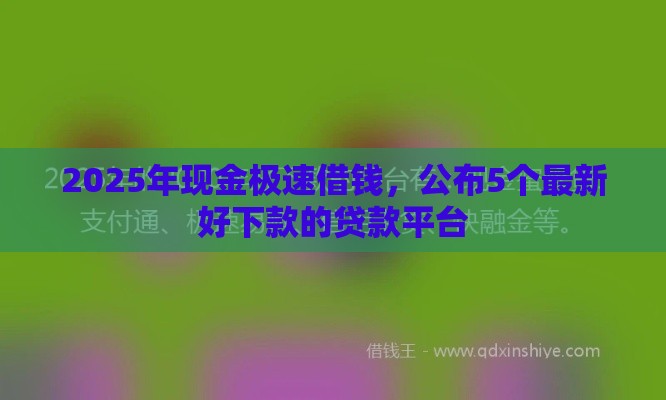 2025年现金极速借钱，公布5个最新好下款的贷款平台