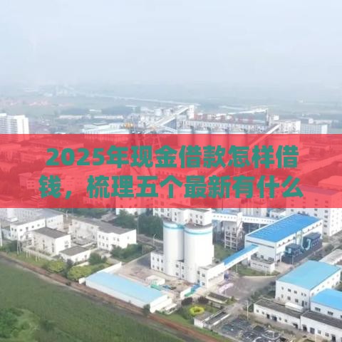 2025年现金借款怎样借钱，梳理五个最新有什么正规的借钱平台