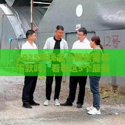 2025年现金小额贷容易下款吗，看看这5个最新网贷大数据平台