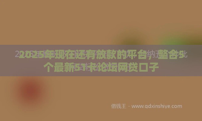 2025年现在还有放款的平台，整合5个最新51卡论坛网贷口子