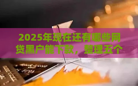 2025年现在还有哪些网贷黑户能下款，整理五个最新医美贷款平台