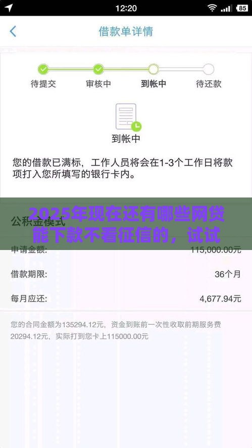 2025年现在还有哪些网贷能下款不看征信的，试试这五个最新靠谱网贷平台