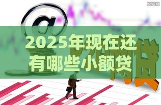 2025年现在还有哪些小额贷款，看看这5个最新贷款平台好利息低