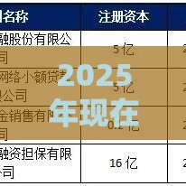 2025年现在还有网贷能下款的吗，分享5个最新征信花找第三方担保贷款平台